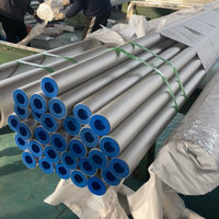 Stainless Steel Pipe 316Ti S31635 Seamless Pipe Tube for Boiler/ Heat Exchangers/ Petrochemical Industry